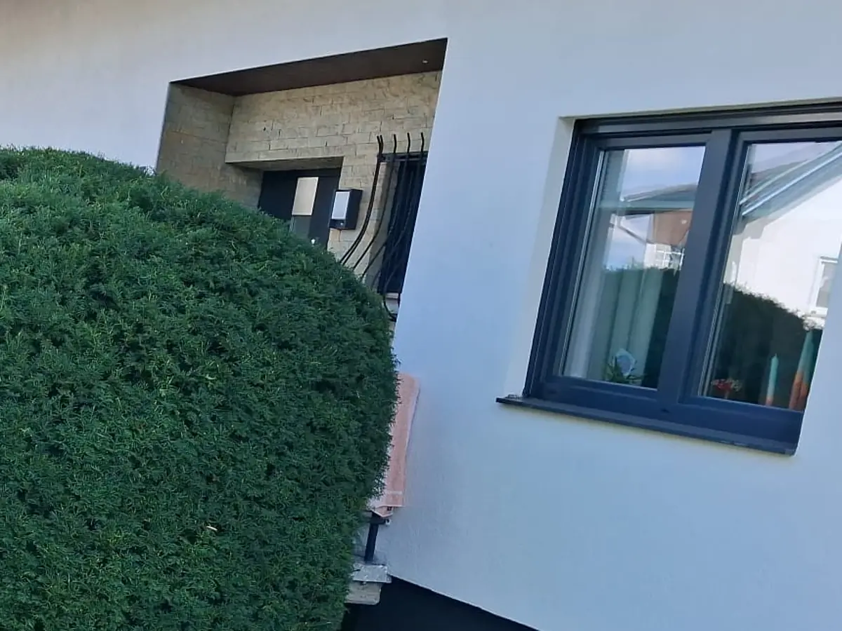 Hauseingang eines Wohnhauses mit freigeschnittener Eibe davor, Fassade und Fenster im Blick.