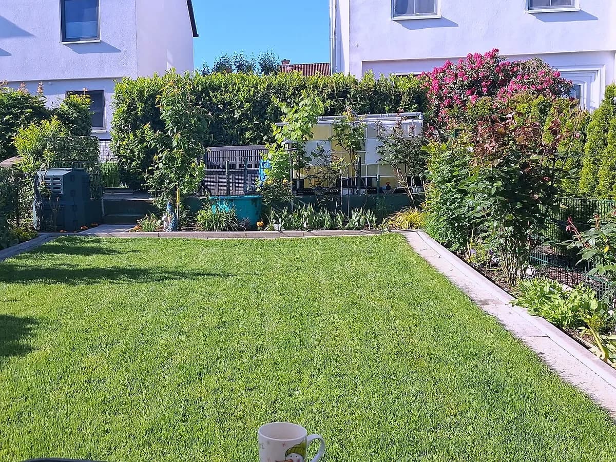 Gepflegter Hausgarten mit kurz gemähter Rasenfläche, Beeteinfassung aus Stein und blühender Hecke.