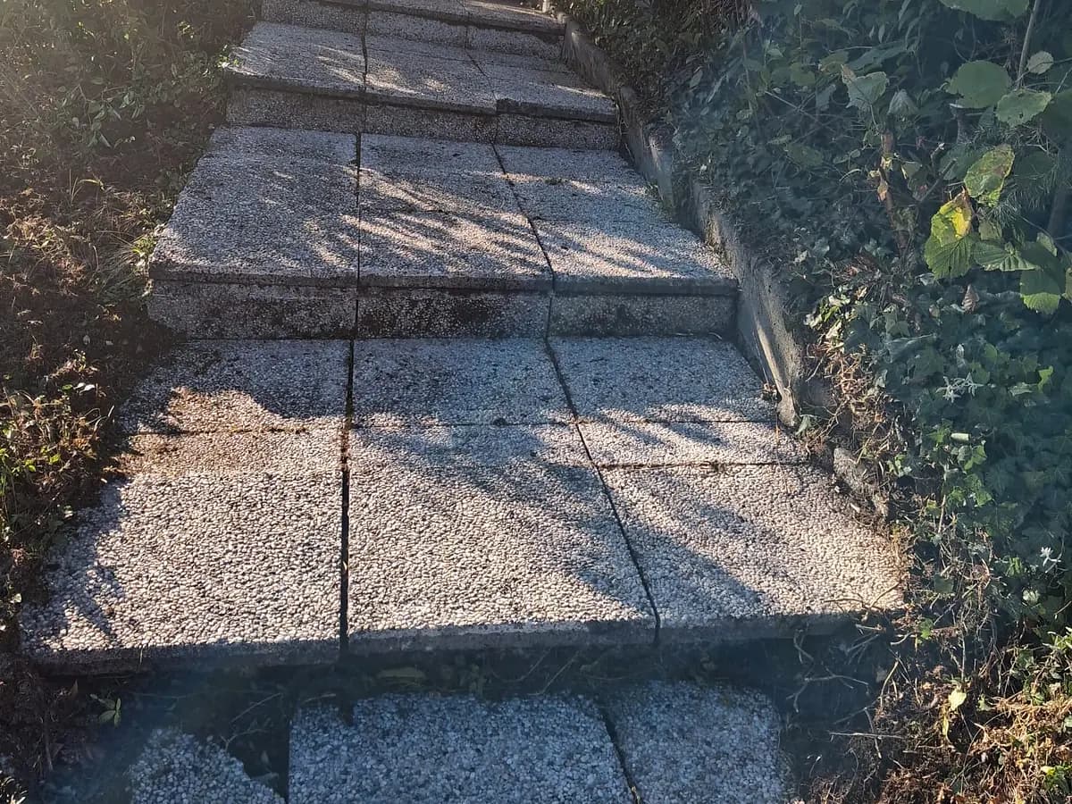 Freigelegte, gereinigte Aussentreppe aus Waschbetonplatten, die Stufen sind frei von Aufwuchs.