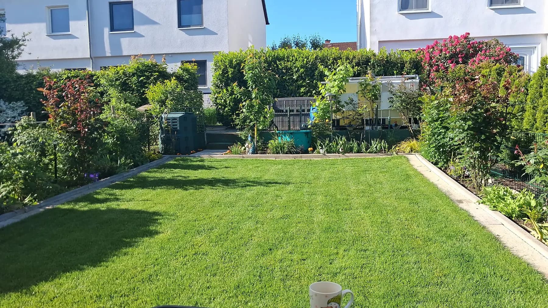 Gepflegter Hausgarten mit kurz gemähter Rasenfläche, steingefasstem Blumenbeet und blühender Hecke.